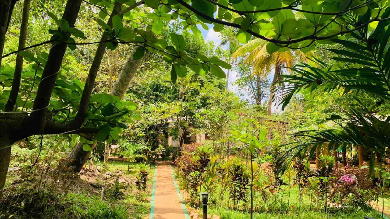 Sigiri Starwing Villa Sigiriya Exteriér fotografie