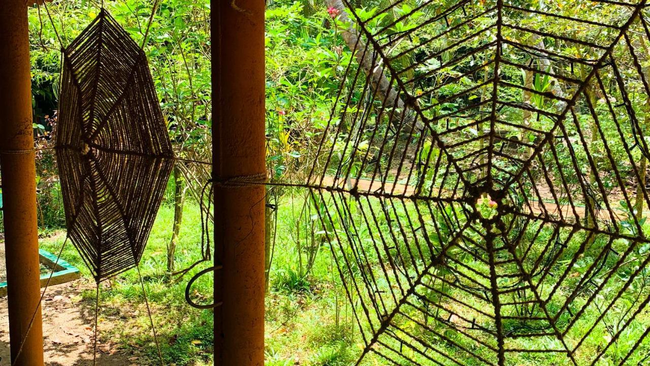 Sigiri Starwing Villa Sigiriya Exteriér fotografie