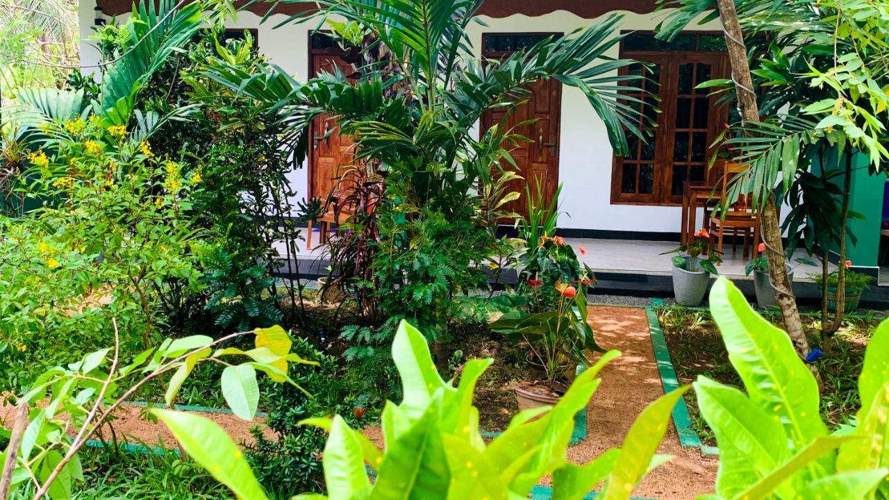 Sigiri Starwing Villa Sigiriya Exteriér fotografie
